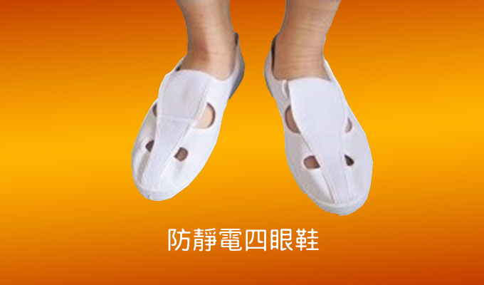 Anti-static shoes